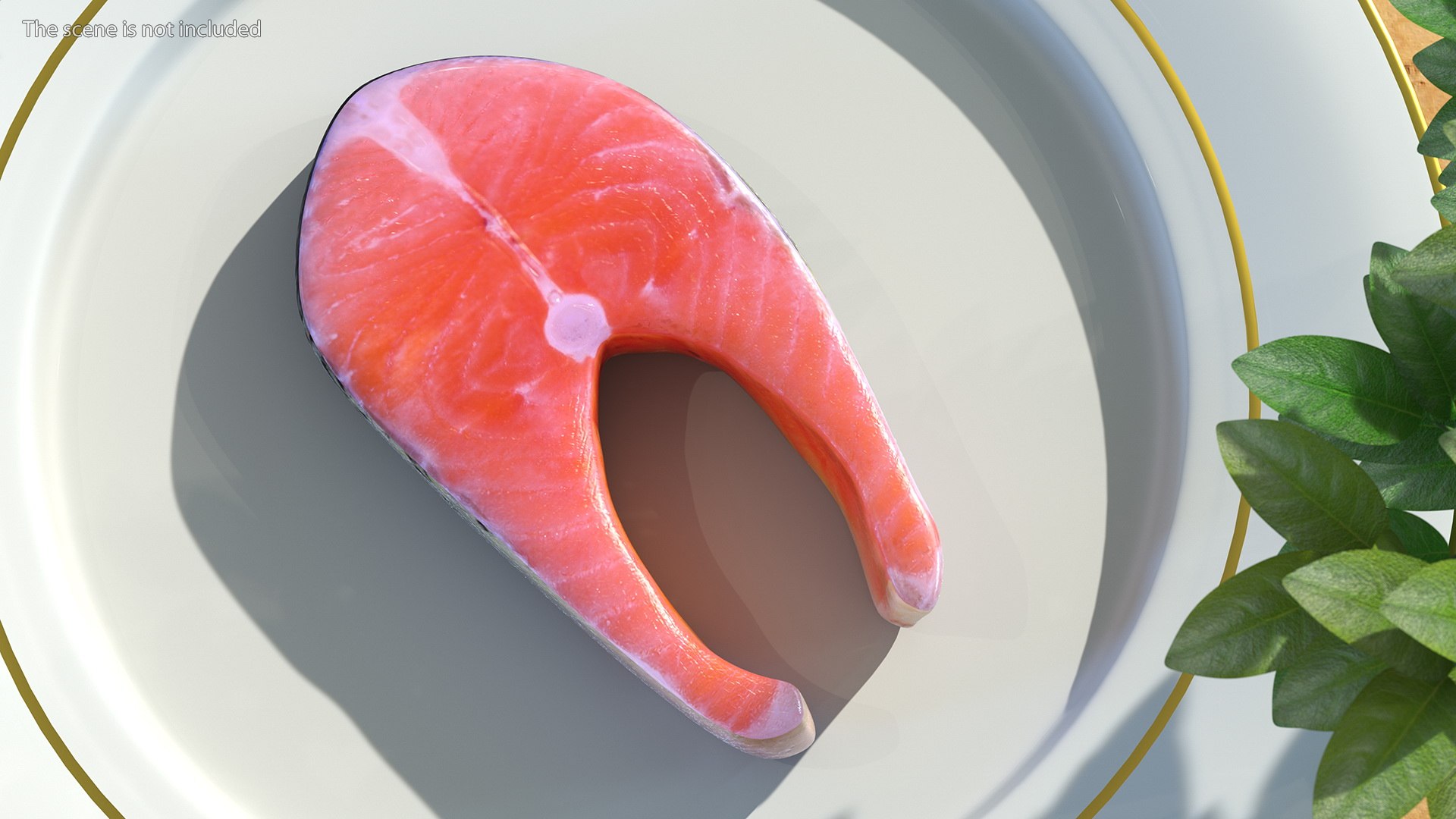 Salmons  Collection 3D model https://p.turbosquid.com/ts-thumb/xN/o3BZ6W/Oy/salmonscollection3dmodel027/jpg/1659020216/1920x1080/fit_q87/634a538ad17270bfa0c77acc3ec19097d274c22e/salmonscollection3dmodel027.jpg