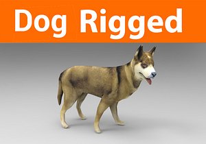 3D german shepherd dog rigged model