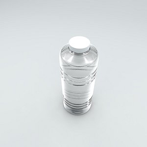 Bottle