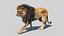 Lion 2 (Fur) (애니메이션)