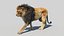Lion 2 (Fur) (애니메이션)