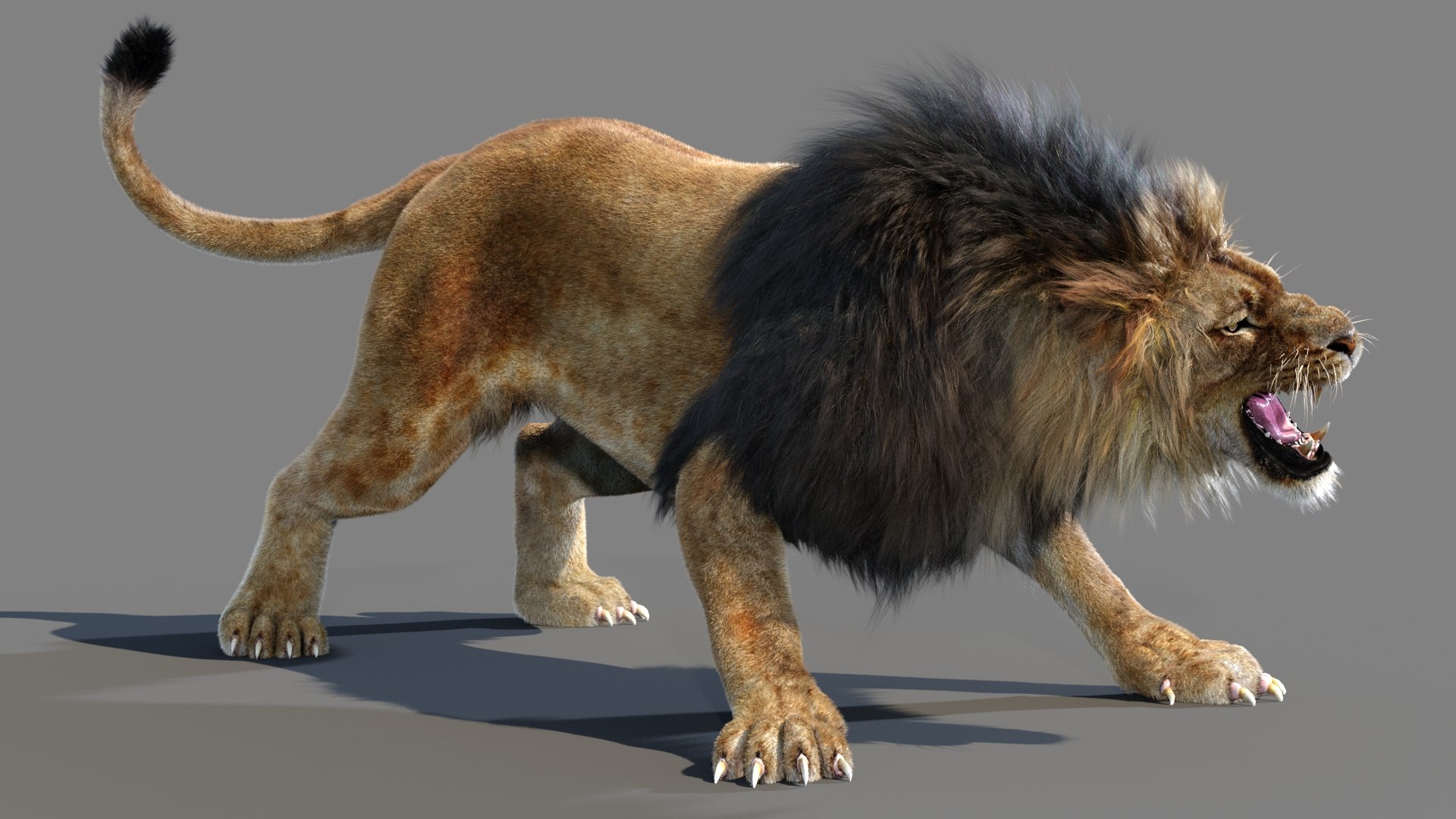 lion 2 fur cat 3d model https://p.turbosquid.com/ts-thumb/xN/rsHCmh/AF/lion3dmodelfurarnold03/jpg/1662978442/1920x1080/fit_q87/684586515e8095daf03e87c54be675eb0b75b089/lion3dmodelfurarnold03.jpg