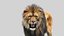 Lion 2 (Fur) (애니메이션)