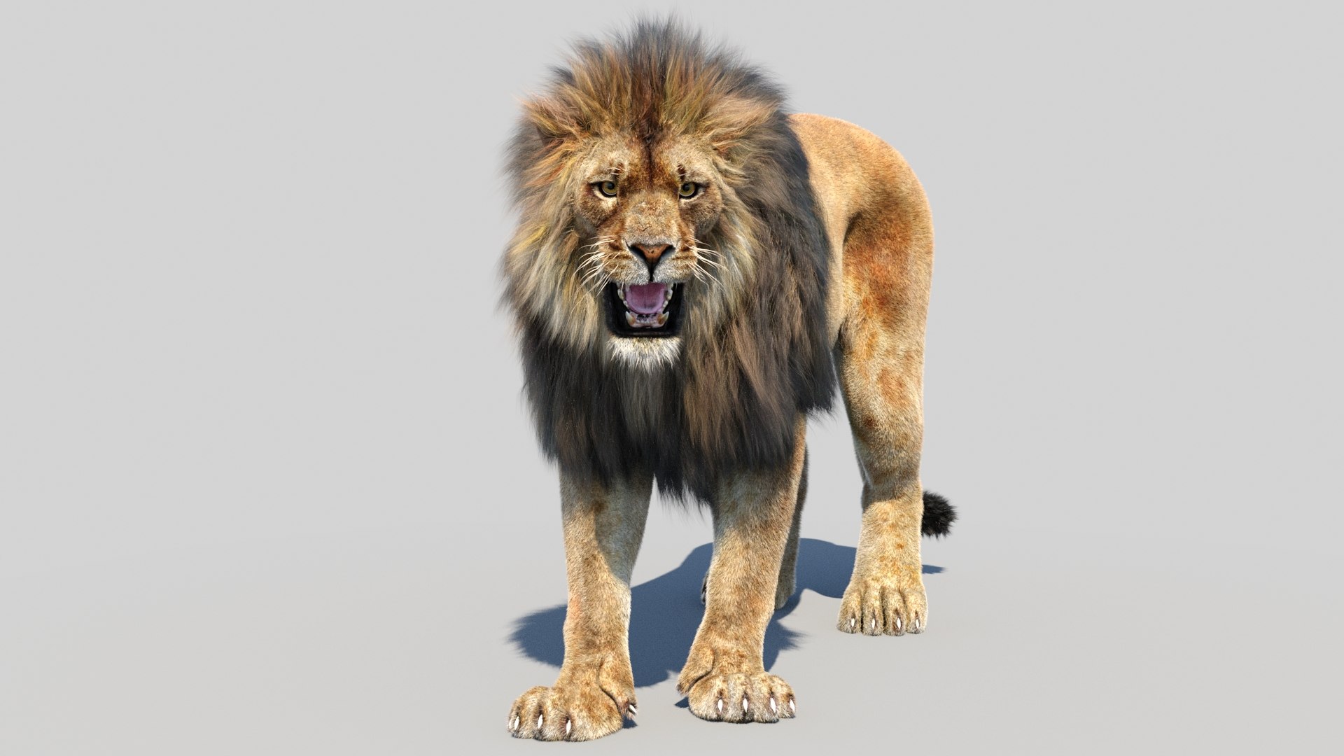 lion 2 fur cat 3d model https://p.turbosquid.com/ts-thumb/xN/rsHCmh/OH/lion3dmodelfurarnold05/jpg/1663017844/1920x1080/fit_q87/6259ff4a6e6be04f2275c7bac273502bfd188017/lion3dmodelfurarnold05.jpg