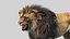 Lion 2 (Fur) (애니메이션)