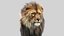 Lion 2 (Fur) (애니메이션)