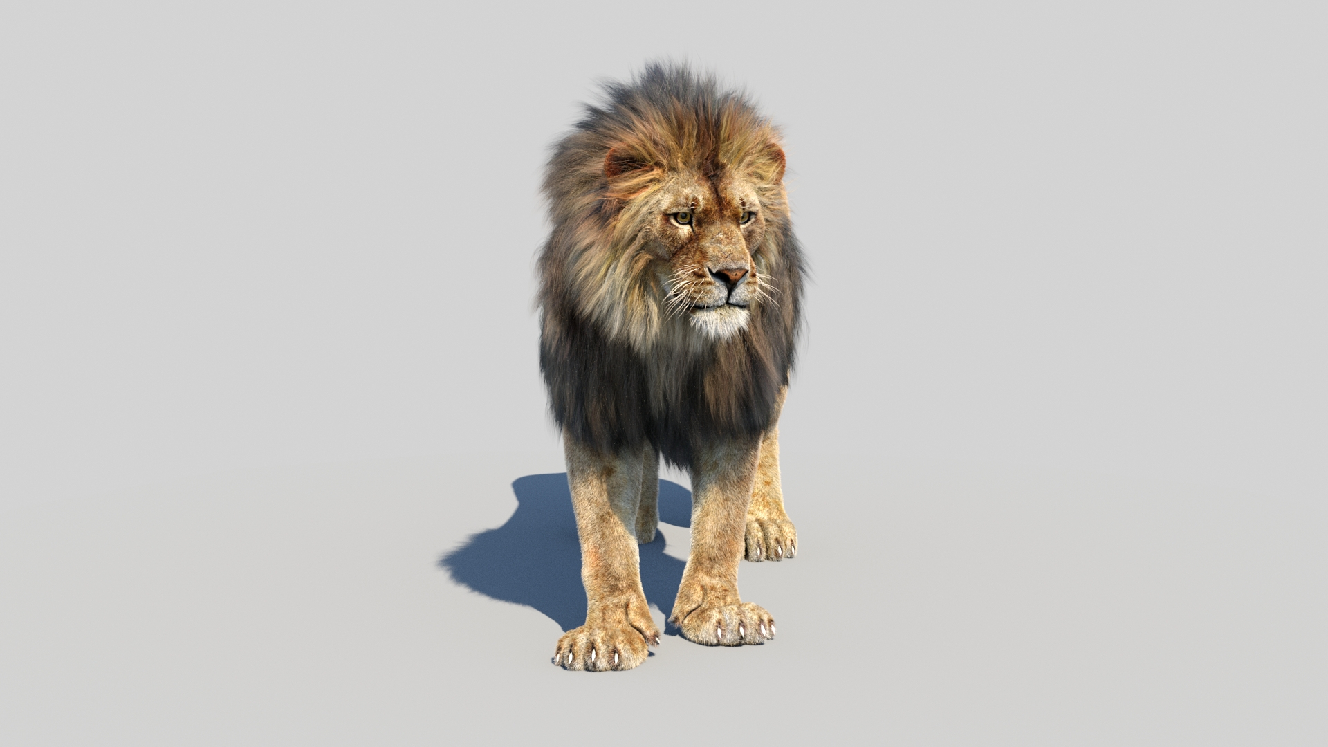 lion 2 fur cat 3d model https://p.turbosquid.com/ts-thumb/xN/rsHCmh/o3/lion3dmodel/jpg/1663180134/1920x1080/turn_fit_q99/6ce861c585c037f91137db8c12f0e58b7d3f3ee9/lion3dmodel-1.jpg