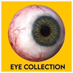realtime eyeball iris realistic 3D model