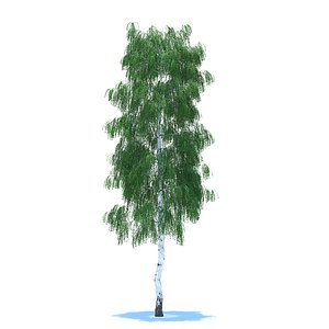 objects 3d model