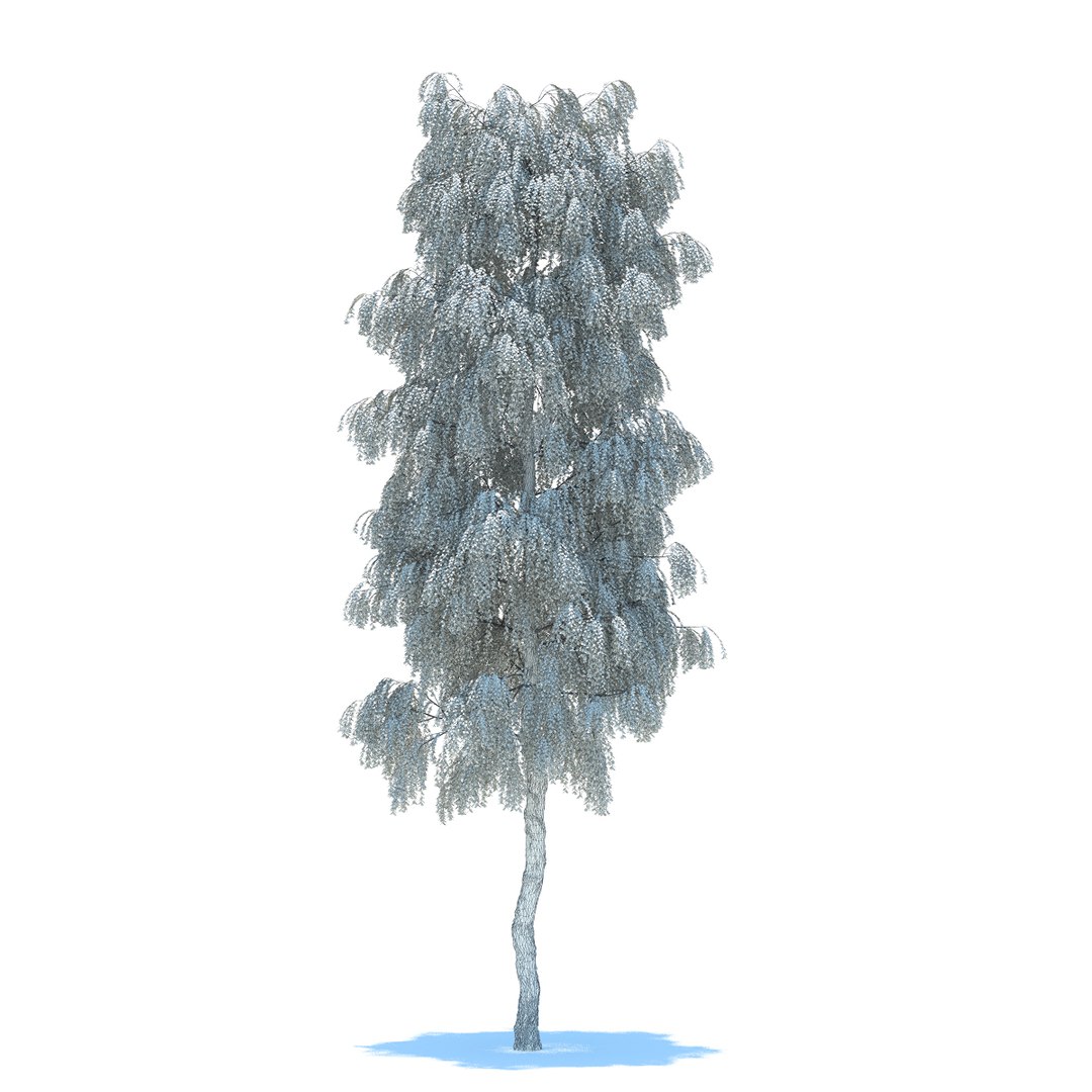 objects 3d model https://p.turbosquid.com/ts-thumb/xO/5e60ak/Yh7MtiCE/birch20metresummerlowquality06/jpg/1409891181/1920x1080/fit_q87/01e93996d4930671b3a0ca0c2dd31b84d25c8525/birch20metresummerlowquality06.jpg