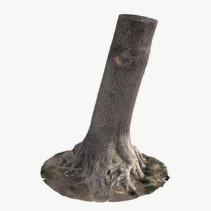 3D High Quality Scan Ash Tree Trunk - 1 model