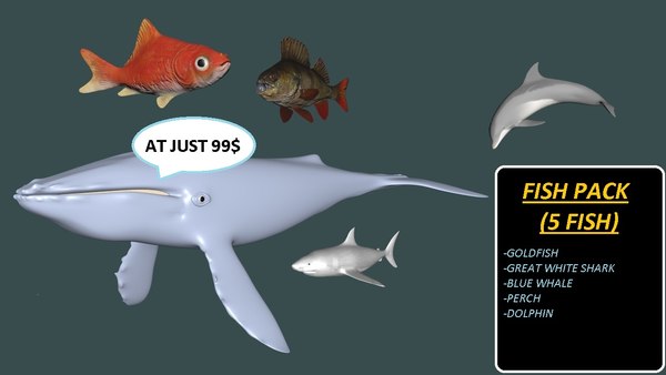Fish Blender 3D Models for Download | TurboSquid