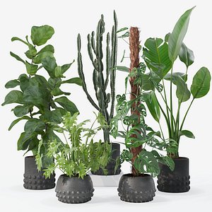 5 Modern Bubble Textured Ceramic Potted Plants Set Ficus Monstera Cactus