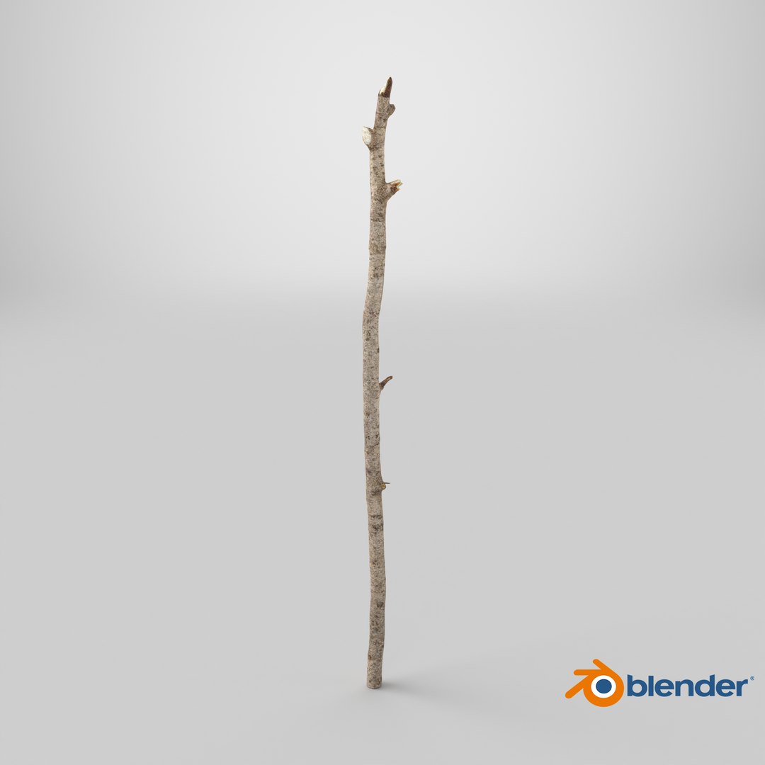 3D Scanned Sprig 11 StemCell https://p.turbosquid.com/ts-thumb/xO/Uotqv6/bs/stemcell_blender_cycles_render/png/1745838004/1920x1080/fit_q87/4e03b2963341f90a847af056fc2d6f4fbeff75ff/stemcell_blender_cycles_render.jpg