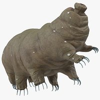 Tardigrade Rigged for Maya