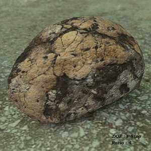 Rock 1 a