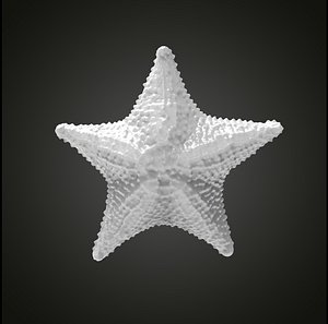 3D Starfish model