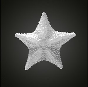 Starfish