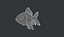 Goldfish