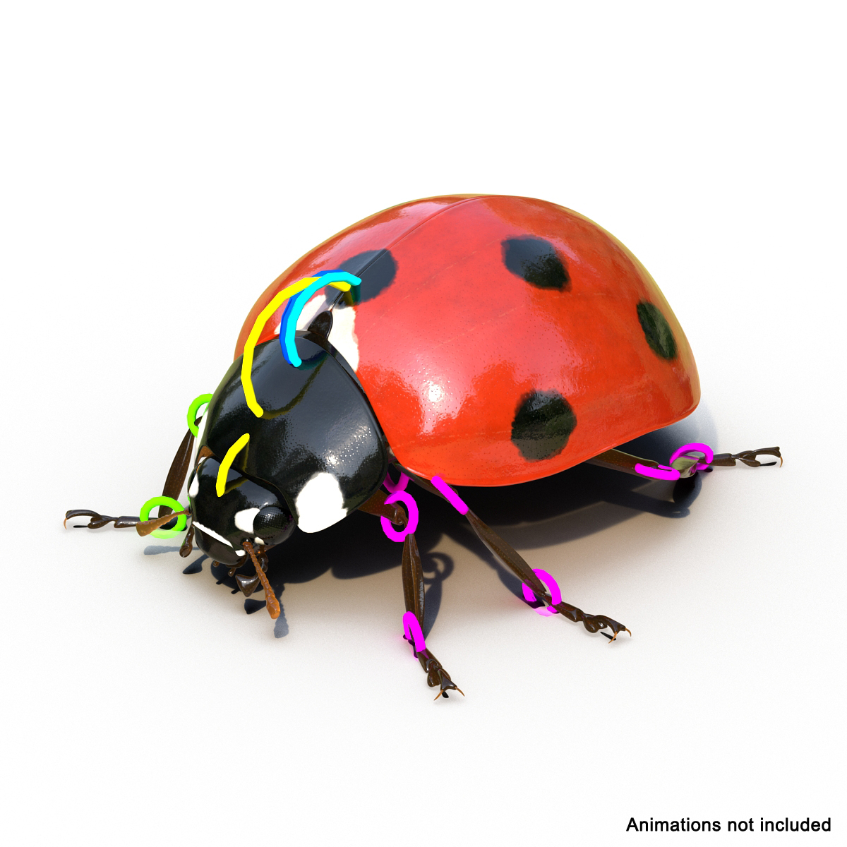ladybug rigged max