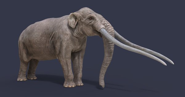 3D Platybelodon Models | TurboSquid