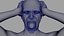 Anger Pose