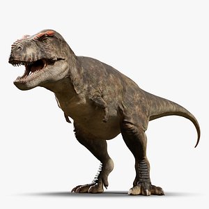 Tyrannosaurus rex RIG 3D
