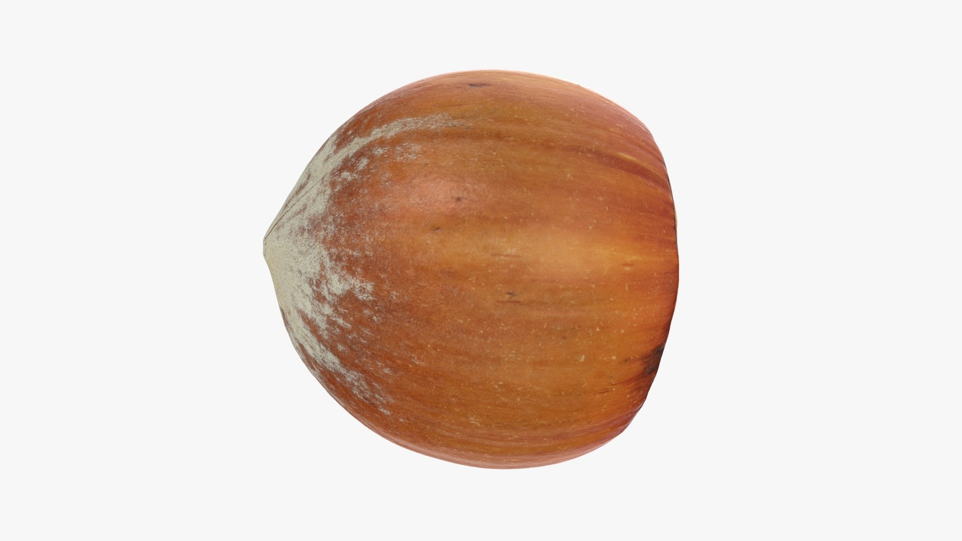 Hazelnut and Hazelnut Shell Collection 3D model https://p.turbosquid.com/ts-thumb/xP/lW62D9/Iy/hazelnutshell04_a0001/jpg/1728475231/1920x1080/fit_q87/d4d784698302d7b5fd63cd68ddd4c4328543facd/hazelnutshell04_a0001.jpg