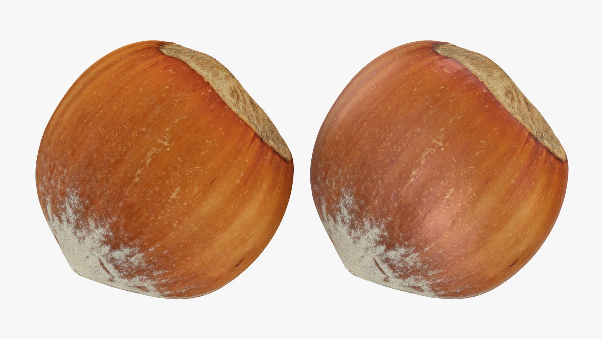 Hazelnut and Hazelnut Shell Collection 3D model https://p.turbosquid.com/ts-thumb/xP/lW62D9/dw/hazelnutshell04_a0003/jpg/1728475233/1920x1080/fit_q87/3c8d9ec301563449ab3d7ebd19a8f52a2a690278/hazelnutshell04_a0003.jpg