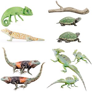 Reptile set