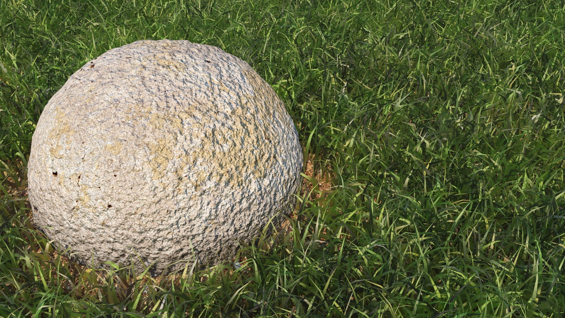 Realistic Grass 3D Model - TurboSquid 1418948