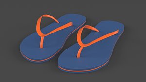 Flip Flops model