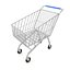 Supermarket Shopping Cart
