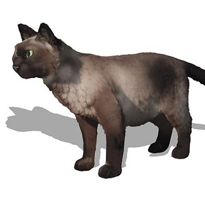 3D Kira the Siamese Cat