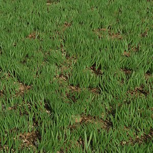 3D modular grass 2
