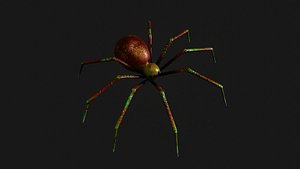 POISONOUS SPIDER 3D model