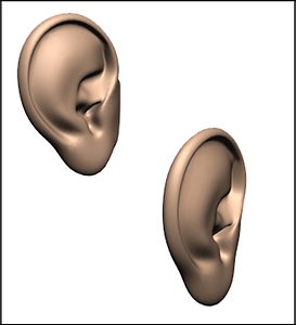 buy use 3d model