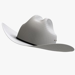 3D Buffalo Cow-Boy Hat