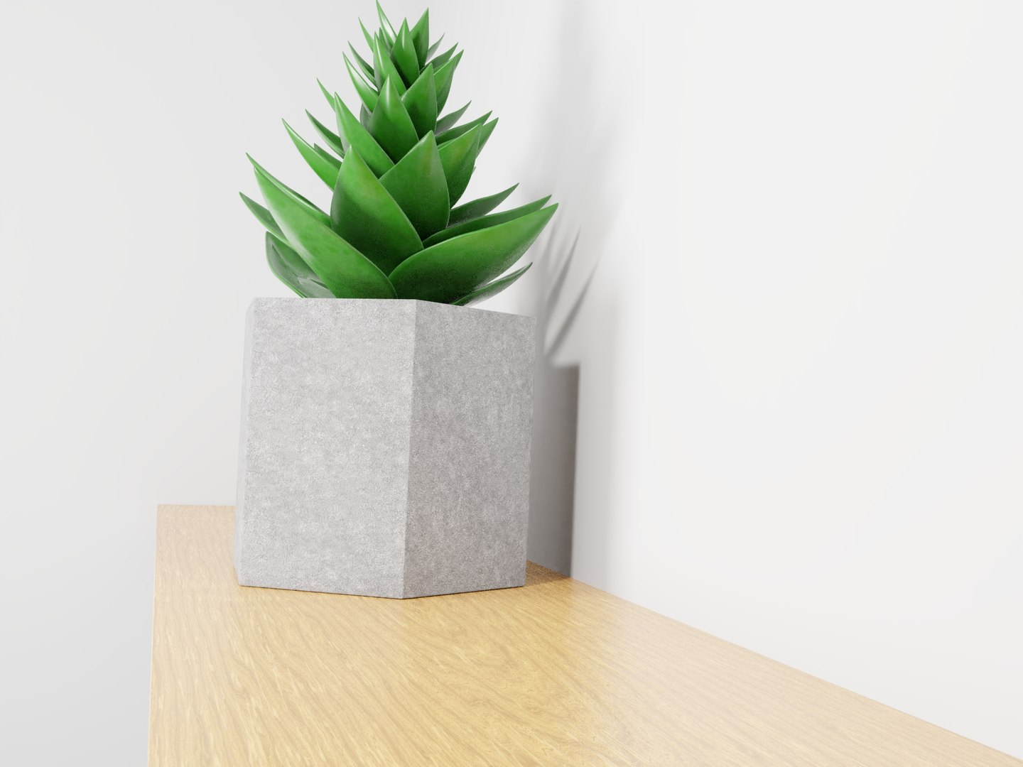 potted succulent plant planter 3D model https://p.turbosquid.com/ts-thumb/xQ/SGgILQ/HxVfZYk7/succulentrender7/jpg/1560569291/1920x1080/fit_q87/fdda81b34db1cb66bbd8bf5d787d0158de60b066/succulentrender7.jpg
