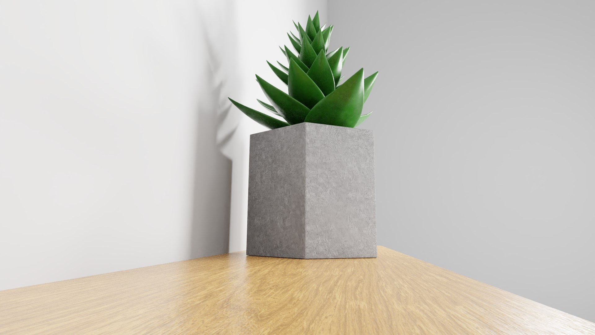potted succulent plant planter 3D model https://p.turbosquid.com/ts-thumb/xQ/SGgILQ/NXOv47GW/succulentrender6/jpg/1560569291/1920x1080/fit_q87/186ac0c48a3ff02fbfe17b1ee2402d9ccbec6ed0/succulentrender6.jpg