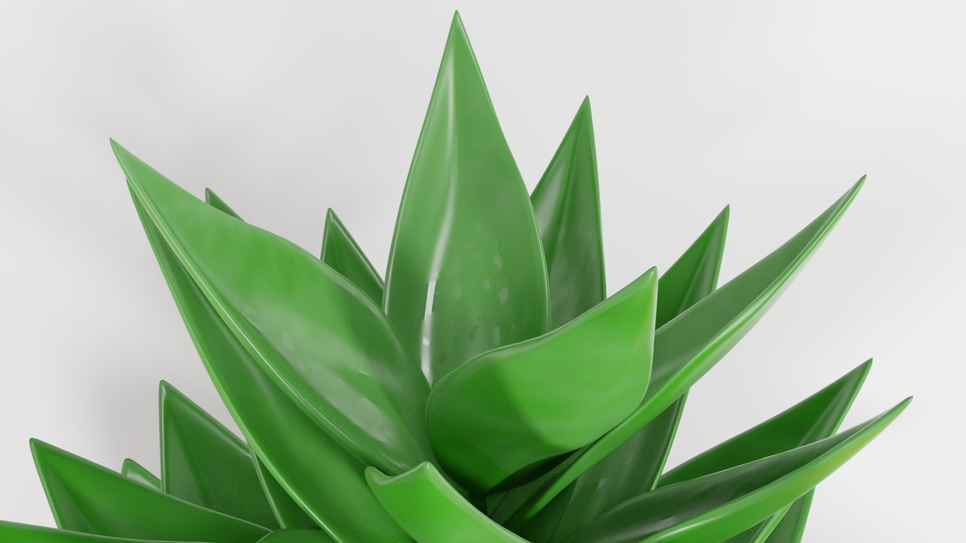 potted succulent plant planter 3D model https://p.turbosquid.com/ts-thumb/xQ/SGgILQ/VvDXPlbL/succulentrender1/jpg/1560569291/1920x1080/fit_q87/9167a8e8a968712207d331cc7c4ab2cc1aefaee2/succulentrender1.jpg