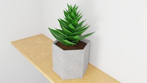 potted succulent plant planter 3D model