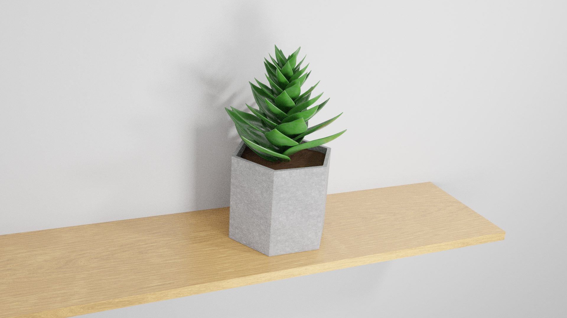 potted succulent plant planter 3D model https://p.turbosquid.com/ts-thumb/xQ/SGgILQ/h4gQ6BUm/succulentrender5/jpg/1560569291/1920x1080/fit_q87/38aef9f8355841601f25cd250ea3c1dabd59cfc5/succulentrender5.jpg