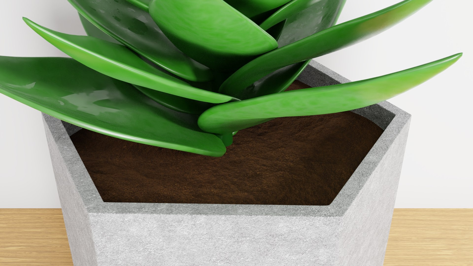 potted succulent plant planter 3D model https://p.turbosquid.com/ts-thumb/xQ/SGgILQ/hW8G8OQa/succulentrender10/jpg/1560569292/1920x1080/fit_q87/f46e28b061ced58fe3aeeb42e5006a5f259cefa3/succulentrender10.jpg