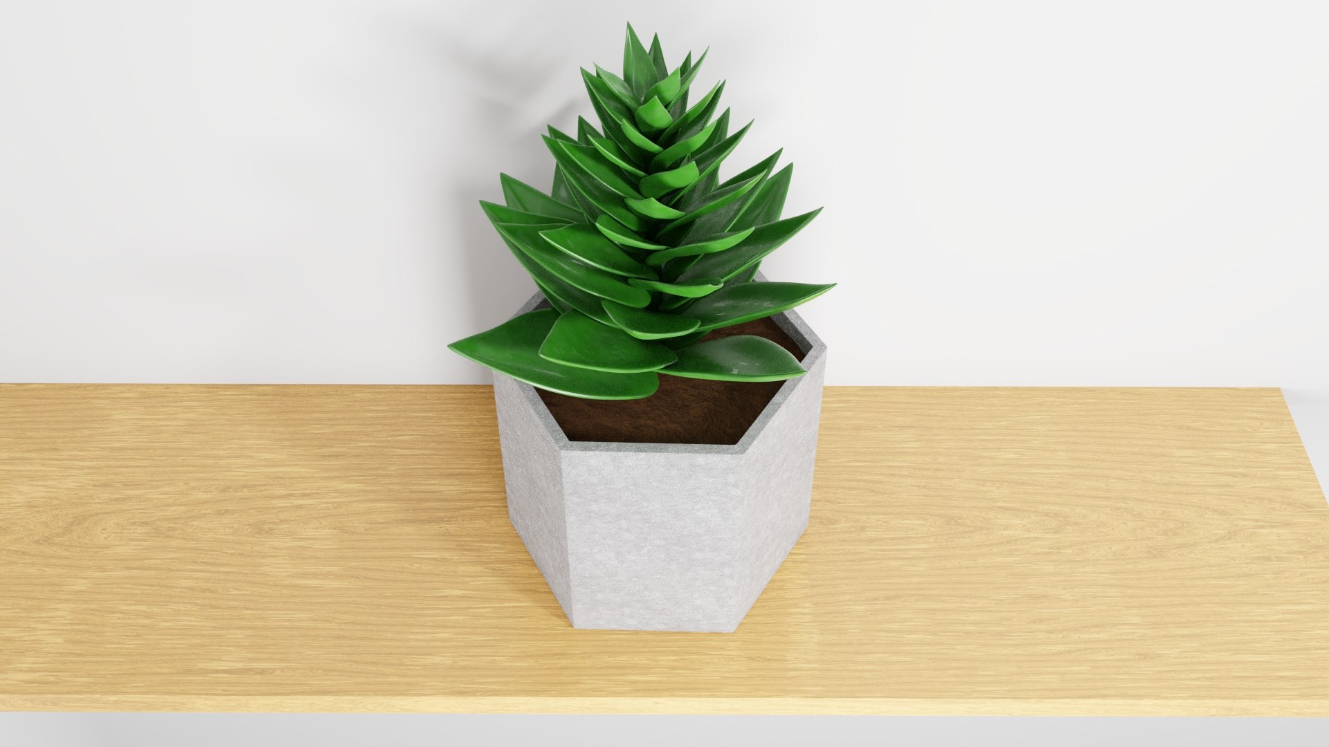 potted succulent plant planter 3D model https://p.turbosquid.com/ts-thumb/xQ/SGgILQ/jaip44nh/succulentrender8/jpg/1560569291/1920x1080/fit_q87/9f49565ce490651b8a504ee509b67f7bbfb47e19/succulentrender8.jpg