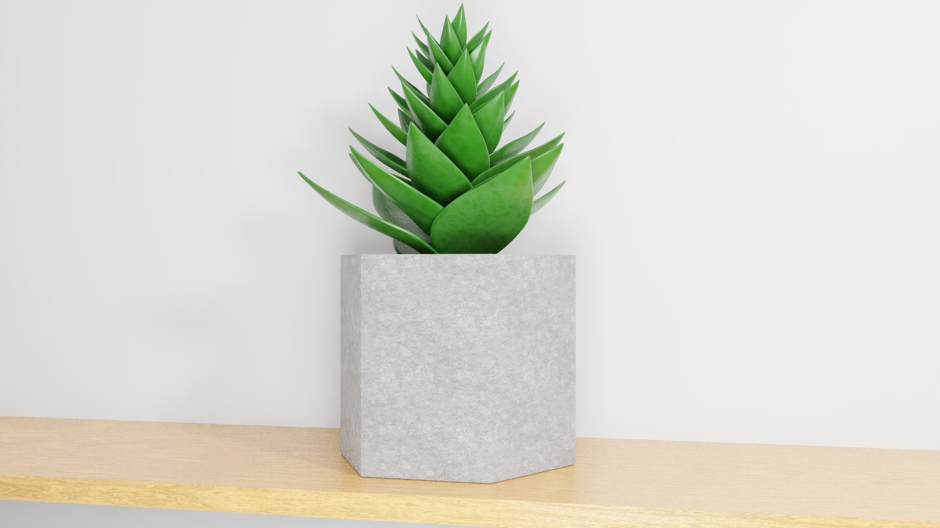 potted succulent plant planter 3D model https://p.turbosquid.com/ts-thumb/xQ/SGgILQ/kBzvK3Jp/succulentrender2/jpg/1560569291/1920x1080/fit_q87/bd1bd617f3f6055fc068ce8611347321beefc92c/succulentrender2.jpg