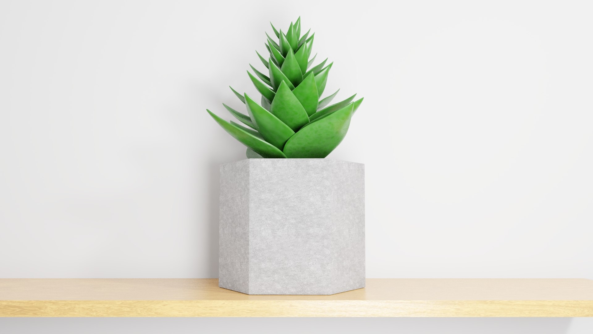 potted succulent plant planter 3D model https://p.turbosquid.com/ts-thumb/xQ/SGgILQ/lKLUmUO8/succulentrender9/jpg/1560569292/1920x1080/fit_q87/0b39147fbddbfd8886c563dda36ba15220cb8ecd/succulentrender9.jpg