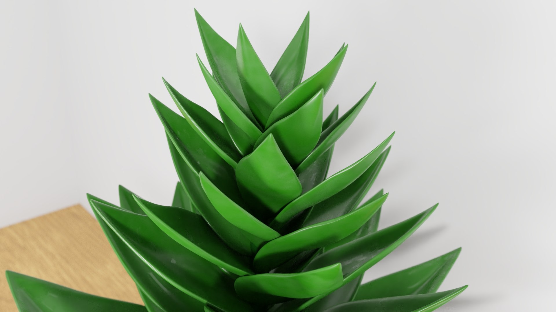 potted succulent plant planter 3D model https://p.turbosquid.com/ts-thumb/xQ/SGgILQ/zzPv3kUF/succulentrender4/jpg/1560569291/1920x1080/fit_q87/fc4111c8a0ff781f6eca271ea4f6b6c842572079/succulentrender4.jpg