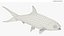 Milkfish Rigged For Maya