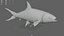 Milkfish Rigged For Maya